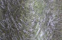 Natland fibreglass roof work